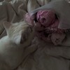 Логотип телеграм канала @polyonelove — 𝓡𝔂𝓼𝓲𝓴 _