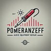 Логотип телеграм канала @pomeranzeff_audio — Pomeranzeff