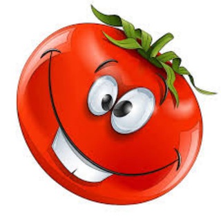 Логотип телеграм канала @pomidory_vragu — Помидоры в рагу