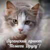 Логотип телеграм канала @pomogidrygylg1 — Луганский приют "Помоги другу"