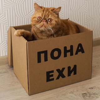 Логотип телеграм канала @ponaehi23 — V