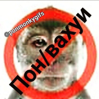Логотип телеграм канала @ponmonkygifs — Пон/Вахуи и обезьянки 🐵