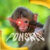Логотип телеграм -каналу ponskijpon — Гифки с обезьянками 🦧