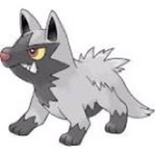 Logo of telegram channel poochyena — poochyena