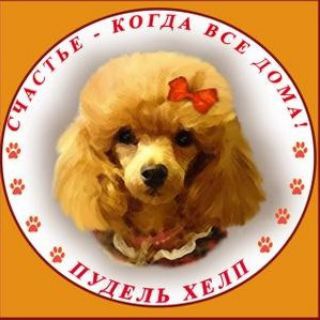 Логотип телеграм канала @poodlehelp1 — Пудель Хелп | помощь Пуделям
