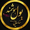 لوگوی کانال تلگرام poollhoshmand — شناسایی پول هوشمند
