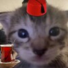 Логотип телеграм канала @popiki20 — Попики