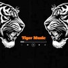 Логотип телеграм канала @popmusicsng — Tiger Music | Песни 2026 года