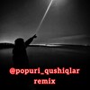 Telegram kanalining logotibi popuri_qushiqlar_remix — Popuri🎧(remix)