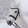 Логотип телеграм канала @poqhipeq — poqhipEquest