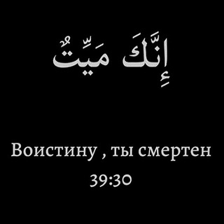 لوگوی کانال تلگرام porazmyshlyay — اس