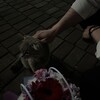 Логотип телеграм канала @poricay — тихое сердце
