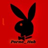 Логотип телеграм канала @porno_hub_rezerv — 𝐏𝐎𝐑𝐍𝐎_BLUD