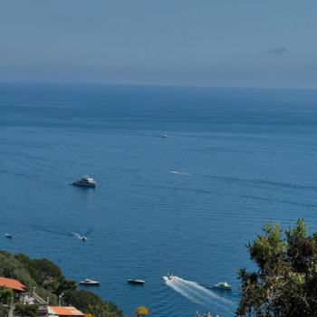 Logo del canale telegramma positano_traveling - Positano