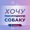 Логотип телеграм канала @poslushnaya_sobaka_dogwinner — Хочу послушную собаку 🐾🐕