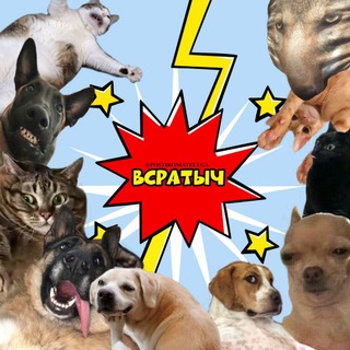 Логотип телеграм канала @postironiatelega — ВСРАТЫЧ