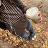 Логотип телеграм канала @posts_by — ⋄￶￶ᅠᅠ - 𝒂𝒖𝒕𝒖𝒎𝒏 :