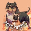Логотип телеграм канала @potapuppies — Pota.Puppies 💥 Питмоник Американские булли | Французские бульдоги