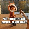 Логотип телеграм канала @poteryashka67 — ПОТЕРЯШКА ВЯЗЬМА(БЮРО НАХОДОК)