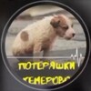 Логотип телеграм канала @poteryashkikemerovo — ПОТЕРЯШКИ Кемерово