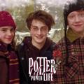 Logo saluran telegram potterlife — 𝐏𝐎𝐓𝐓𝐄𝐑 𝐋𝐈𝐅𝐄 | پاتـرلـایـف