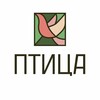 Логотип телеграм канала @pottery_bird — ПТИЦА гончарная и творческая студия