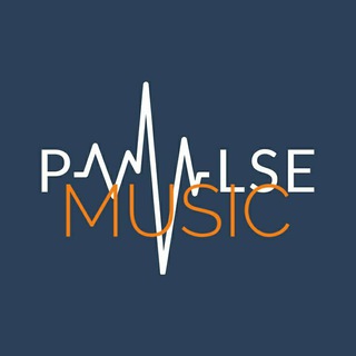 لوگوی کانال تلگرام poulsemusic — Pulse Music