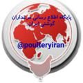 Logo saluran telegram poulteryiran — پایگاه اطلاع رسانی مرغداران گوشتی ایران