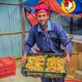 የቴሌግራም ቻናል አርማ poultry21 — ዶሮ እርባታ ለጀማሪዎች doro erbta be Ethiopia