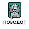 Логотип телеграм канала @povodog — Povodog