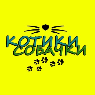 Логотип телеграм канала @pozitivvmire — КОТИКИ-СОБАЧКИ