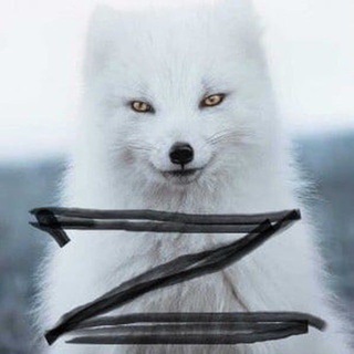 Telegram channel Позывной «Кацман» logo
