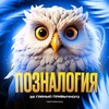 Telegram channel ПОЗНАЛОГИЯ 💎 logo
