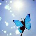 لوگوی کانال تلگرام pparvaz5 — 🦋پرواز را باورکن🦋
