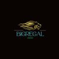 Logo saluran telegram pphm3yo3a4ywothk — 💯💯BigregalMall Emerd Official channel💯💯