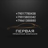 Логотип телеграм канала @ppkcompany — Авто в рассрочку для СНГ и РФ