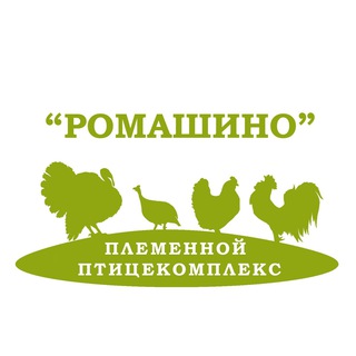 Логотип телеграм канала @ppkromashino — «Ромашино» Племенной птицекомплекс (Москва. МО)