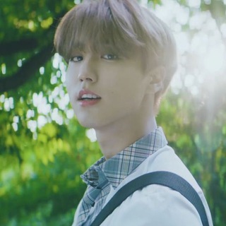 Логотип телеграм канала @pploksyhn — pploksyhn