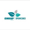 Логотип телеграм канала @ppo_zsnh — Профсоюз ЗапСибНефтехим