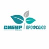 Логотип телеграм канала @ppostg_zstg — ПРОФСОЮЗ СИБУРТЮМЕНЬГАЗ