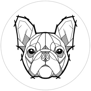 Логотип телеграм канала @pr_dog — Про собак