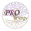 Логотип телеграм канала @pr0_energy — PROenergy