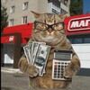 Telegram channel PROMOкотик | Скидки | Бонусы | Акции logo