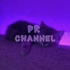 Логотип телеграм канала @pr_can — пиар чаты | каналы