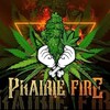 Logo of telegram channel prairie_fire — PRAIRIE_FIRE