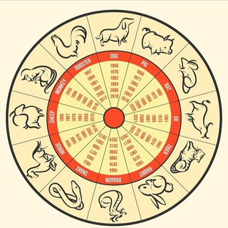 Логотип телеграм канала @praktikabazi — Китайская астрология Бацзы