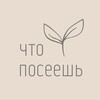 Логотип телеграм канала @pranamolokomsk — ЧТО ПОСЕЕШЬ маркет