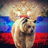 Telegram channel Мир войны logo