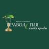Логотип телеграм канала @pravologia — ПРАВОЛОГИЯ