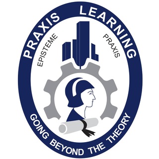 Logotipo del canal de telegramas praxislearning - Praxis Learning